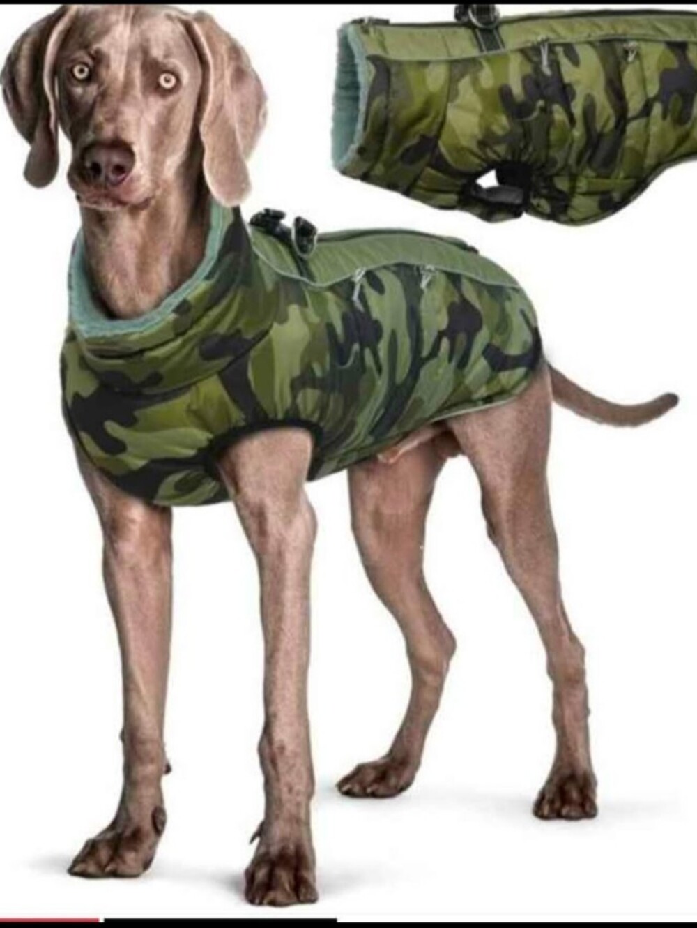 Bonaweite Waterproof warm Dog Coat, Waterproof Jacket Size XL